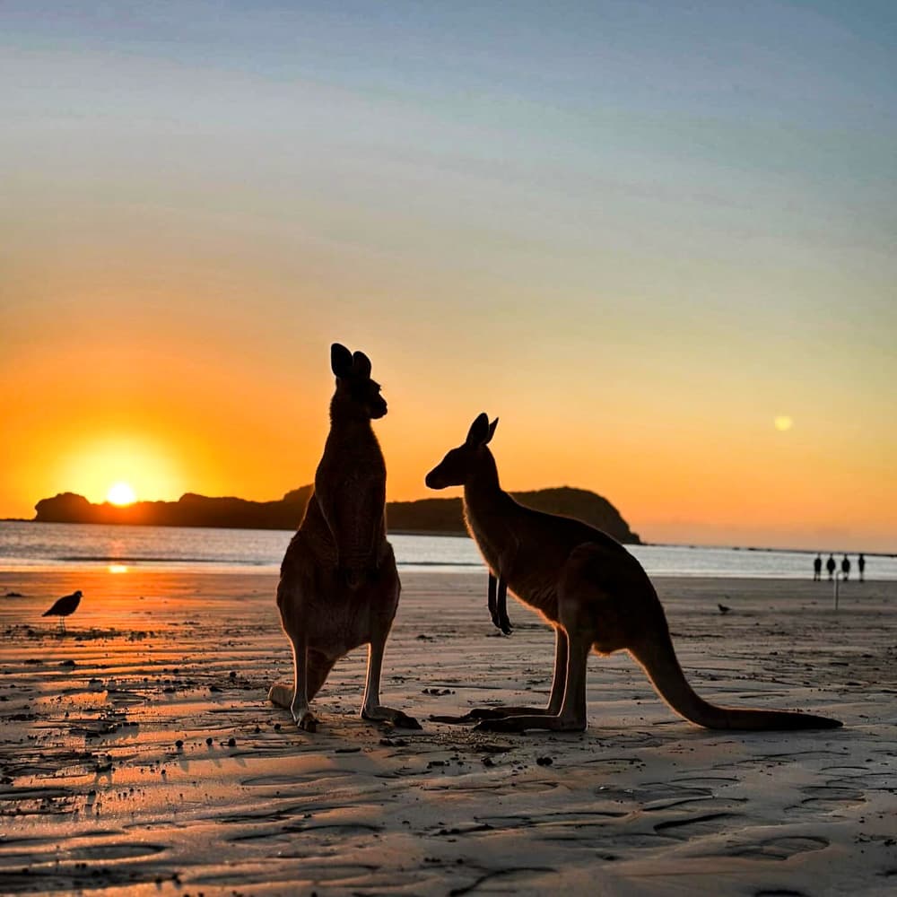 Mackay Adventure — Queensland, Australia, Oceania