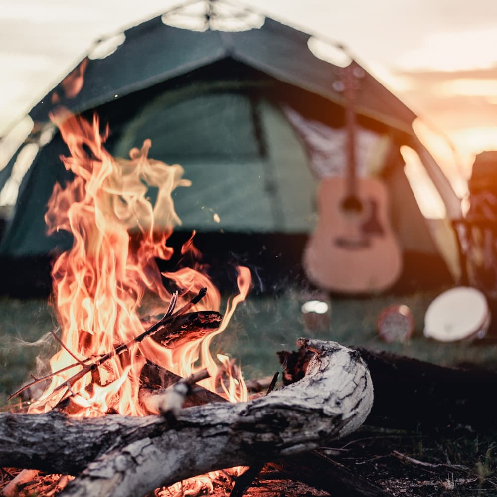 Tahune Adventures — 