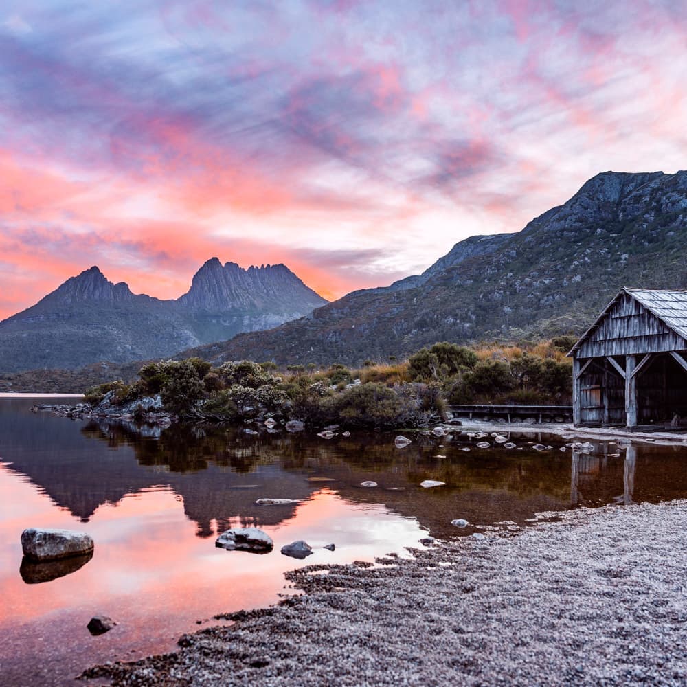 Tassie Tours — 