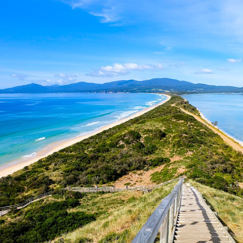 Tassie Tours — 