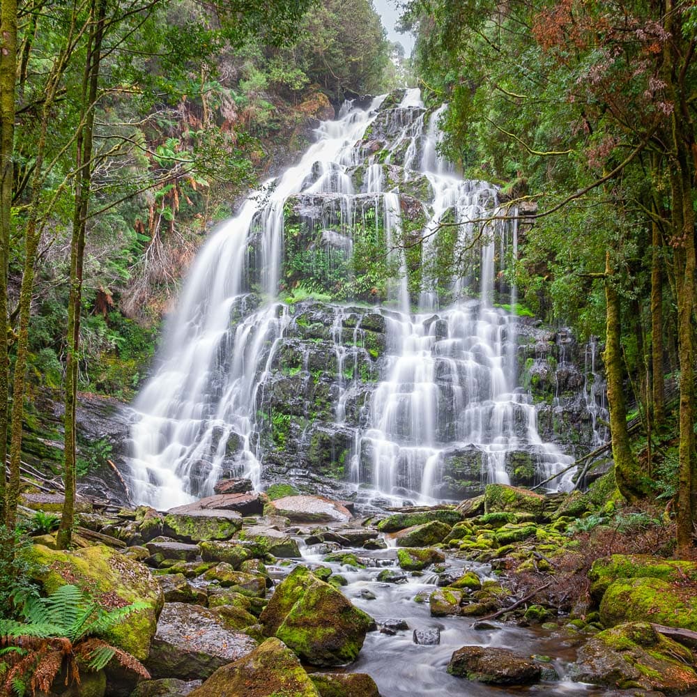 Tassie Tours — 