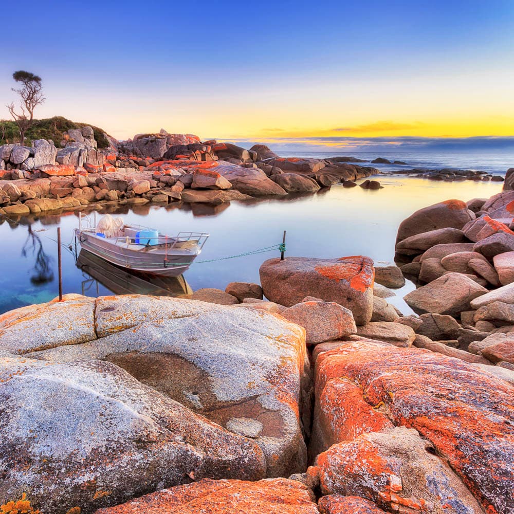 Tassie Tours — 
