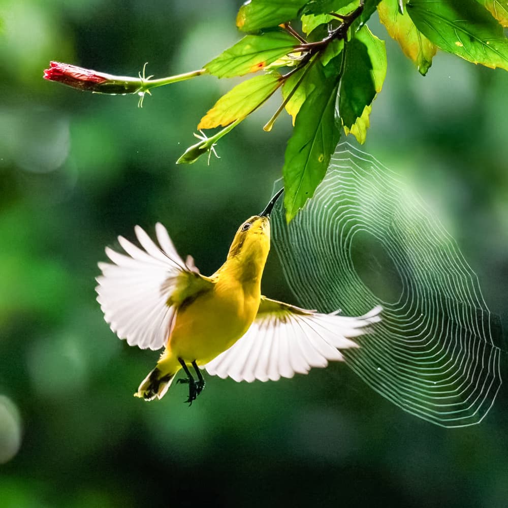 Daintree Discovery Centre — 