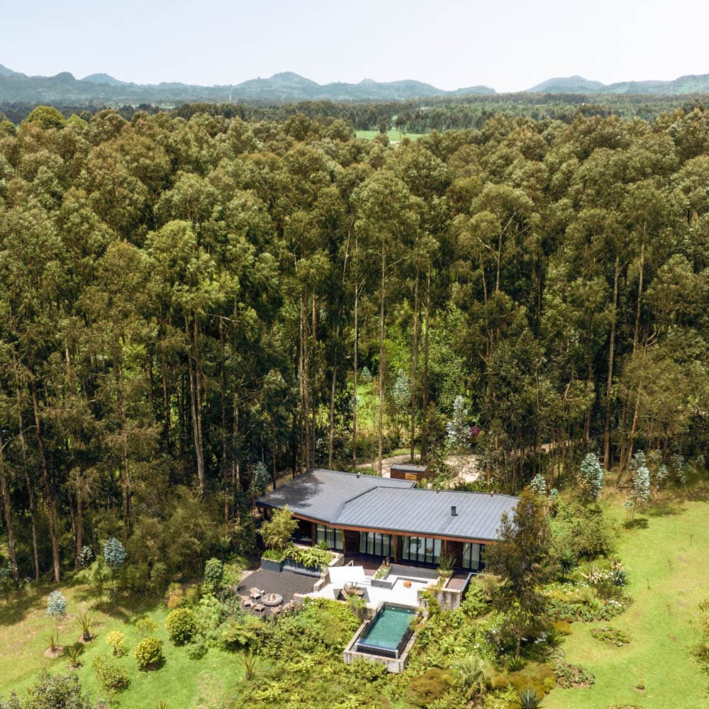 One&Only Gorilla's Nest — 