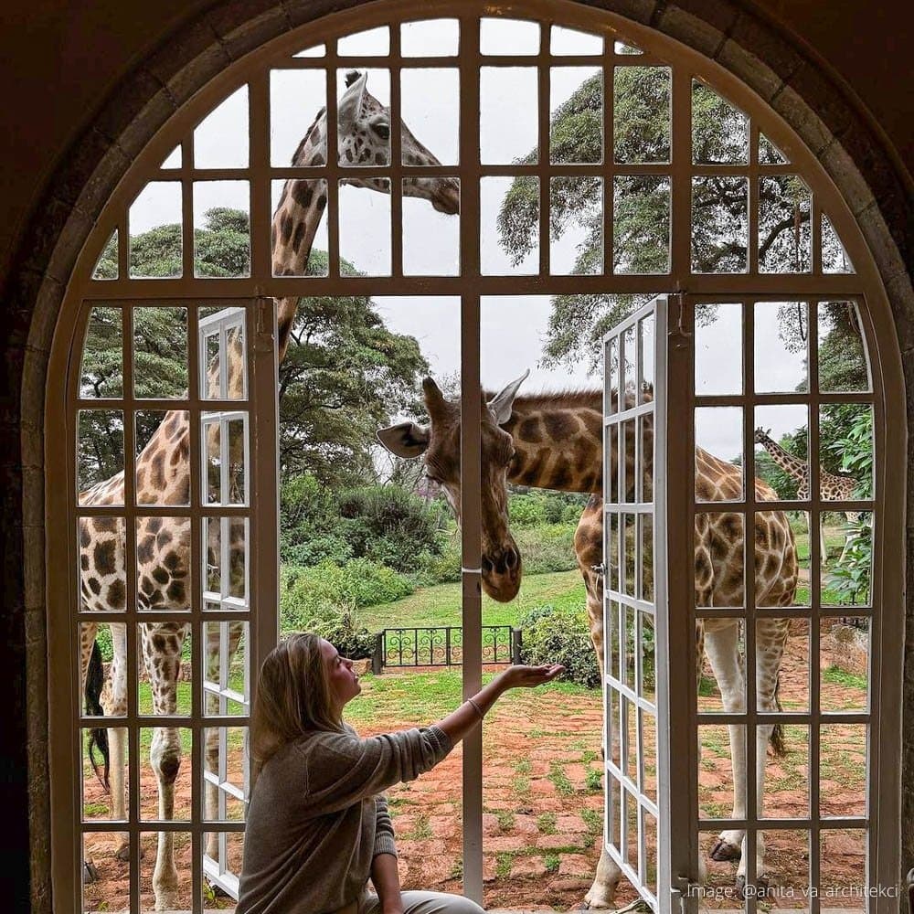 Giraffe Manor, Nairobi — Kenya, Africa