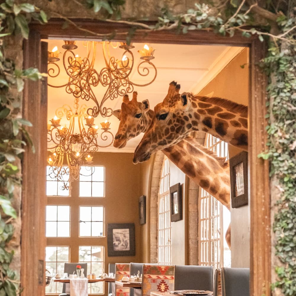 Giraffe Manor, Nairobi — 