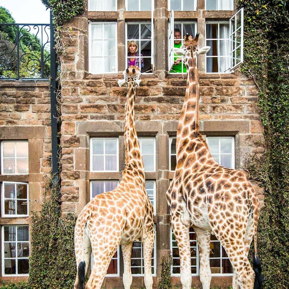 Giraffe Manor, Nairobi — 