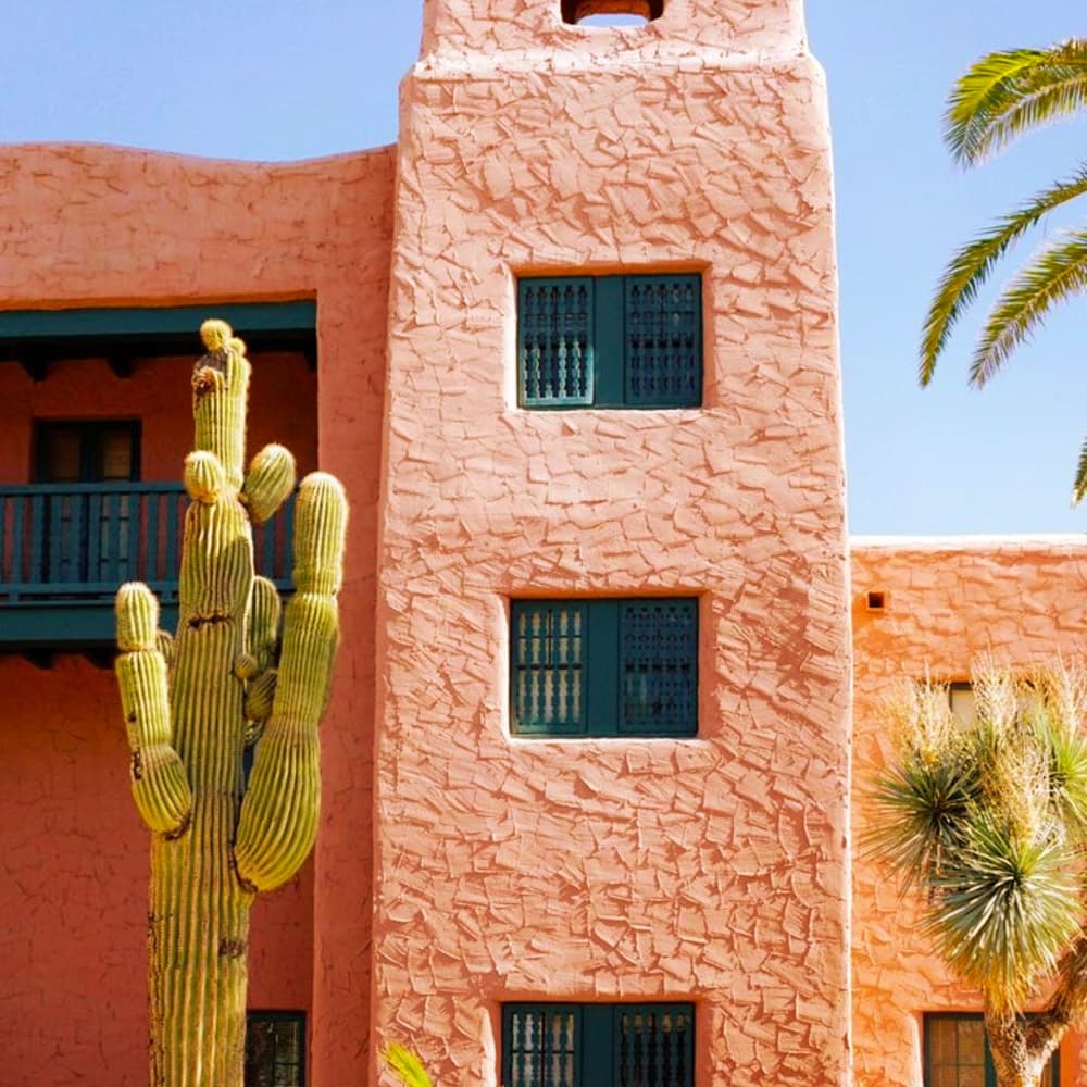 The Phoenician — 