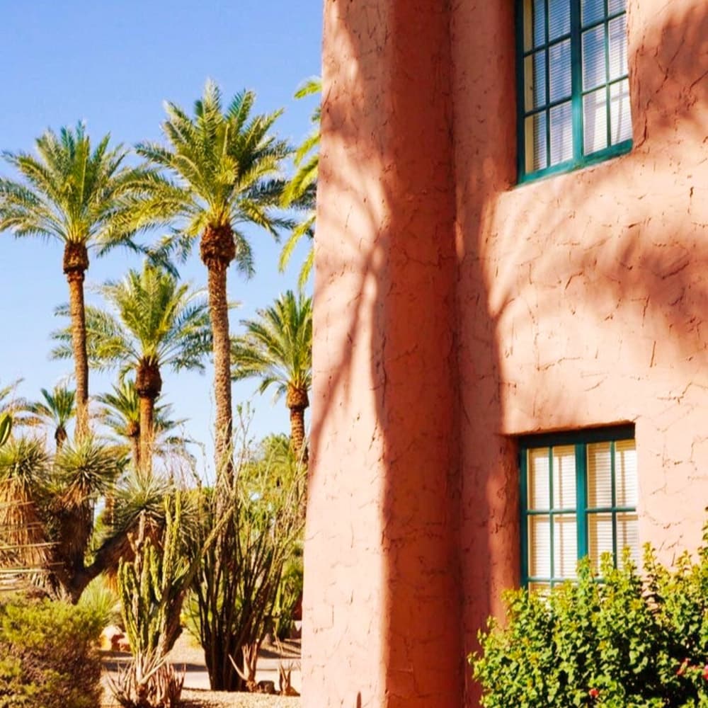 The Phoenician — 