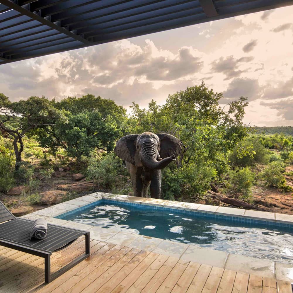 Fifty Seven Waterberg — South Africa, Africa