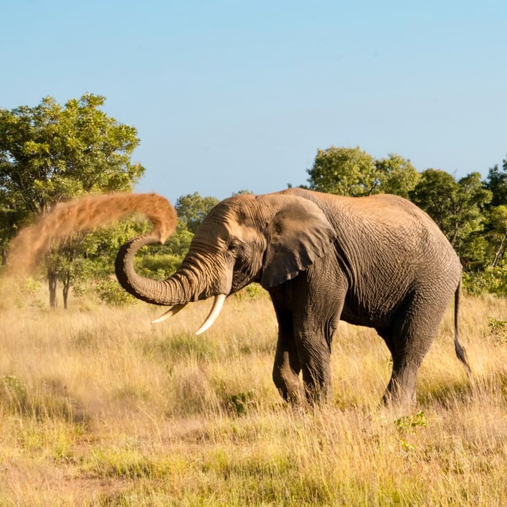 Fifty Seven Waterberg — 