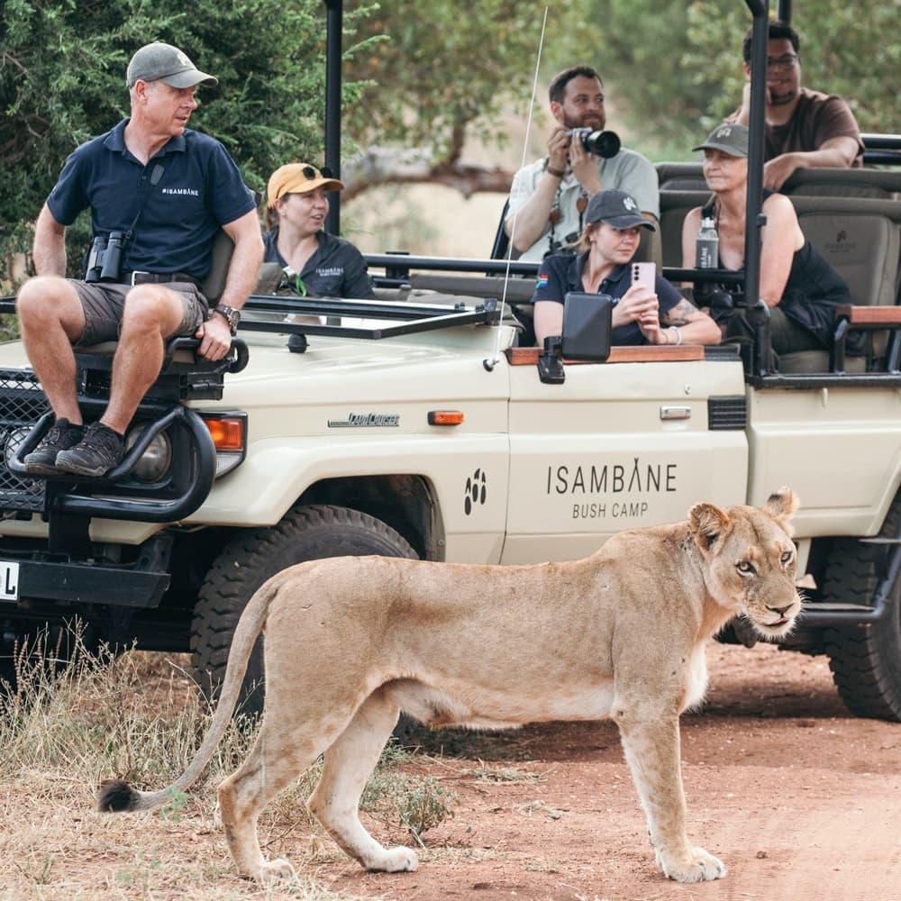 Isambane Camp — 