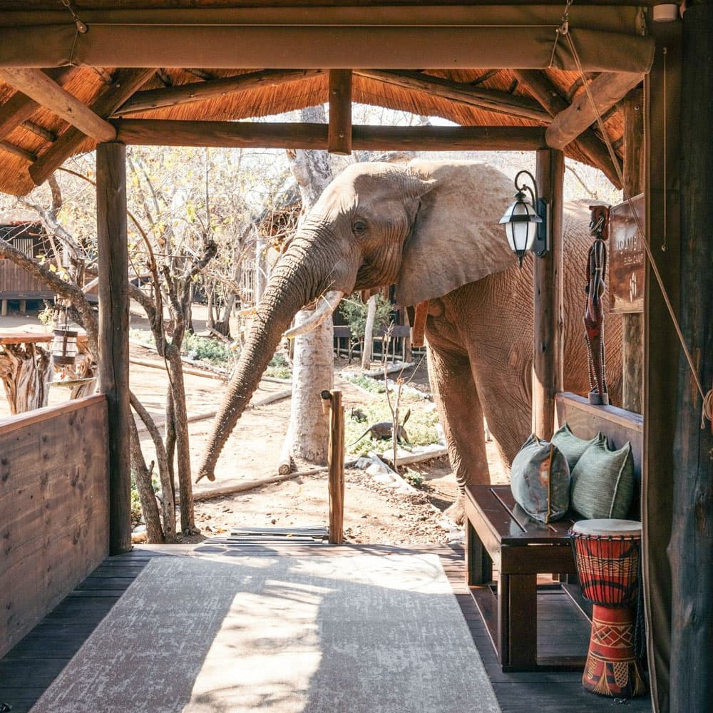 Isambane Camp — 