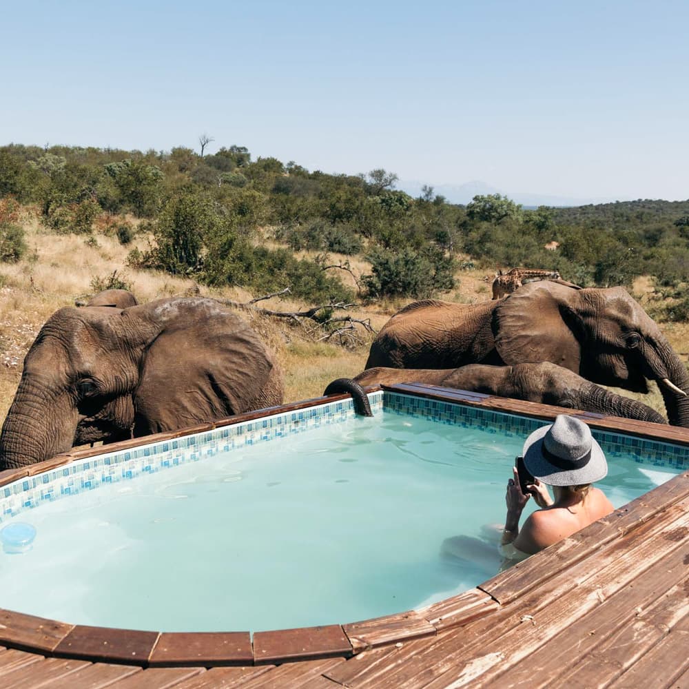 Isambane Camp — 