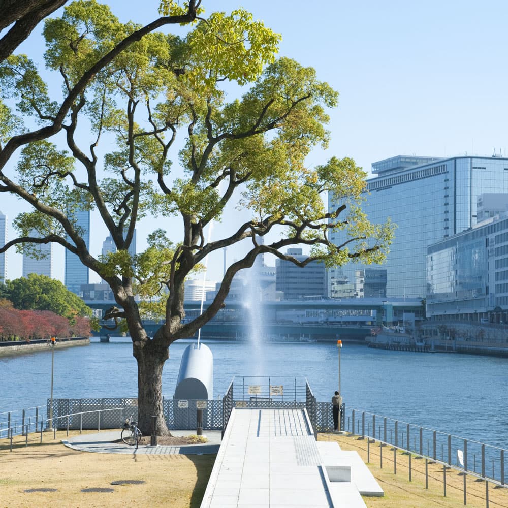 Nakanoshima Park & Rose Garden — 