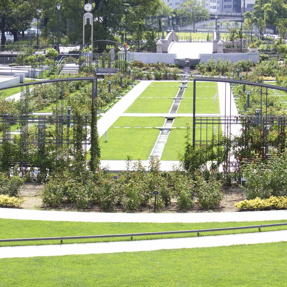 Nakanoshima Park & Rose Garden — 