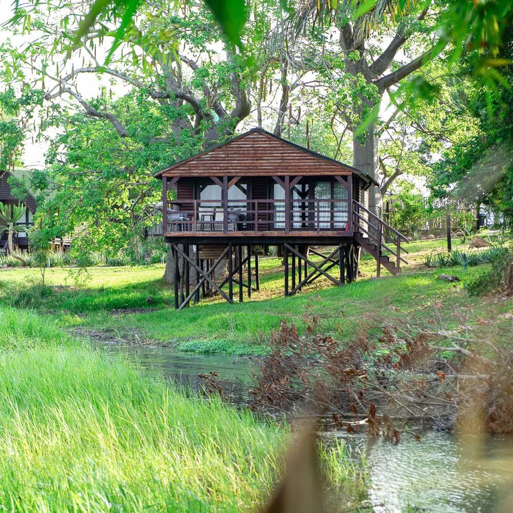 Mubanga Lodge — 