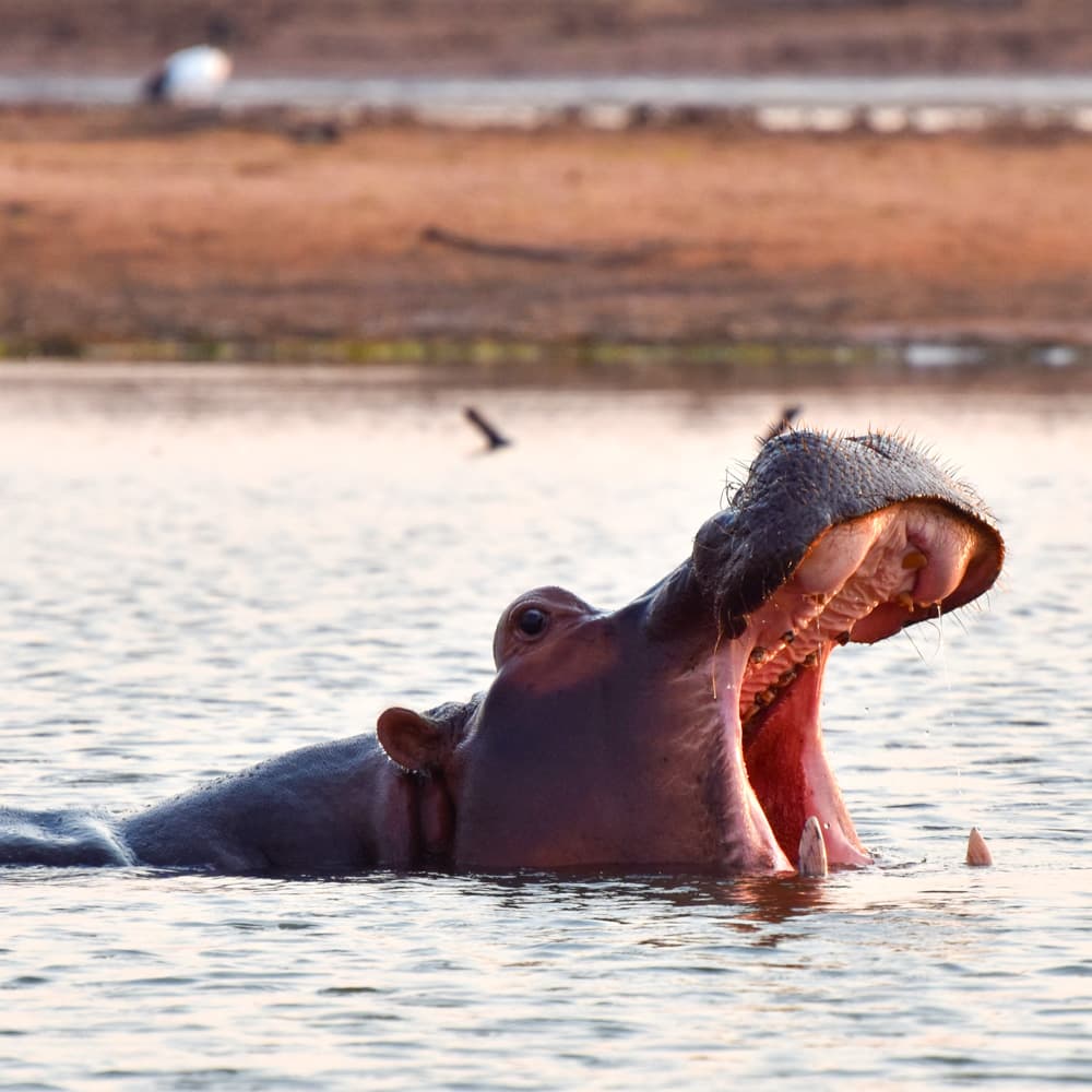 Lake Kariba — Zambia, Africa