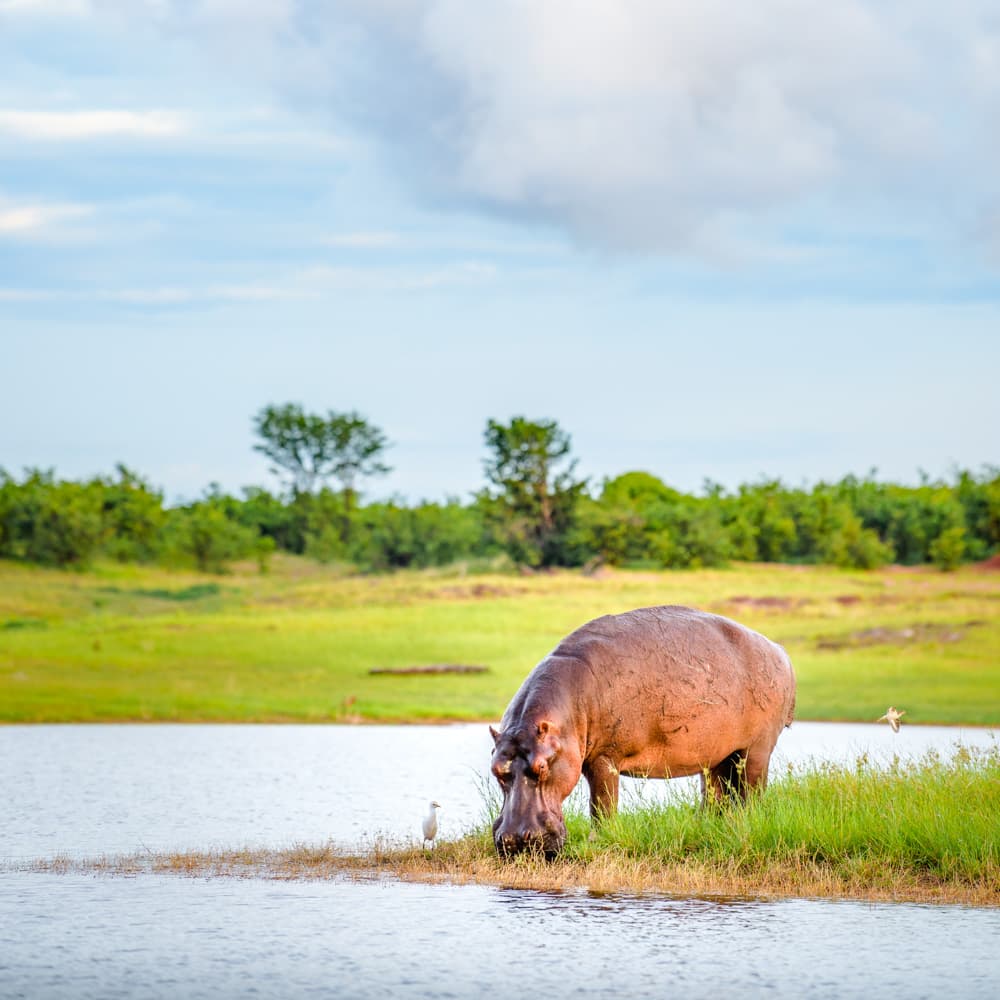 Lake Kariba — 