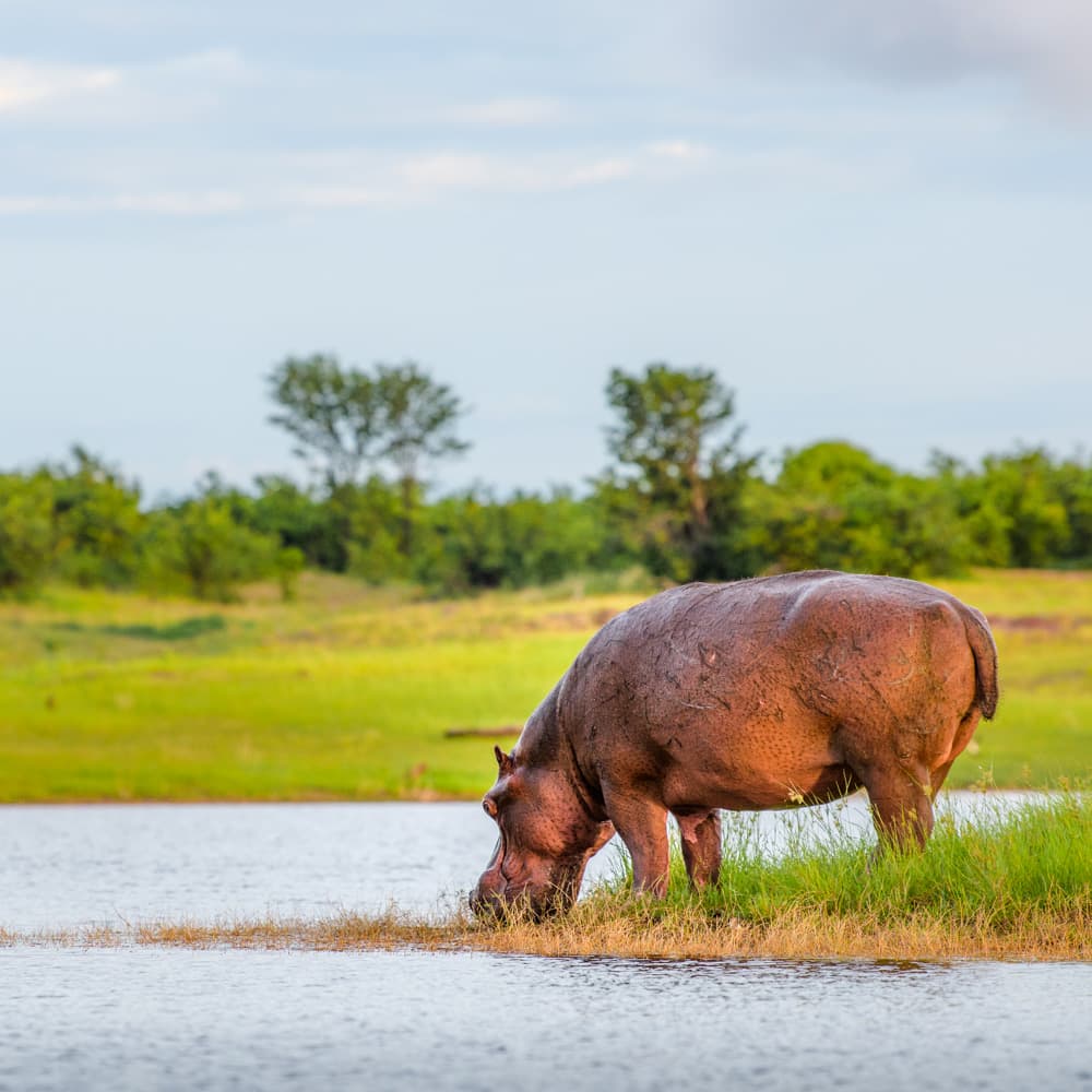 Lake Kariba — 