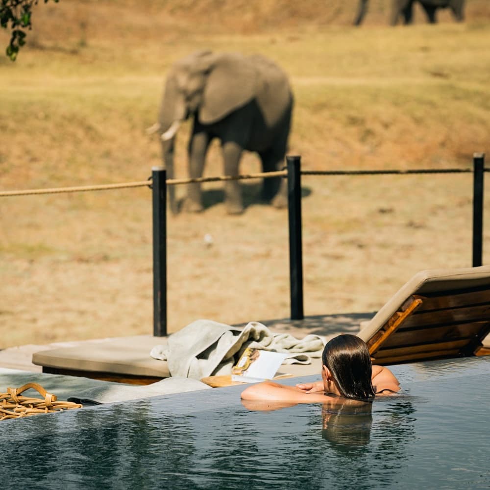 Lion Camp — Zambia, Africa