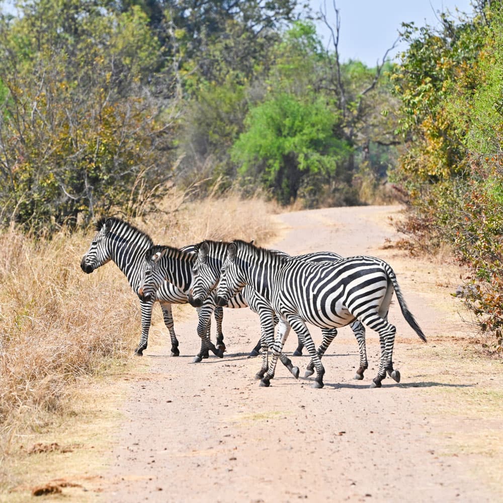 Mosi-oa-Tunya National Park — 