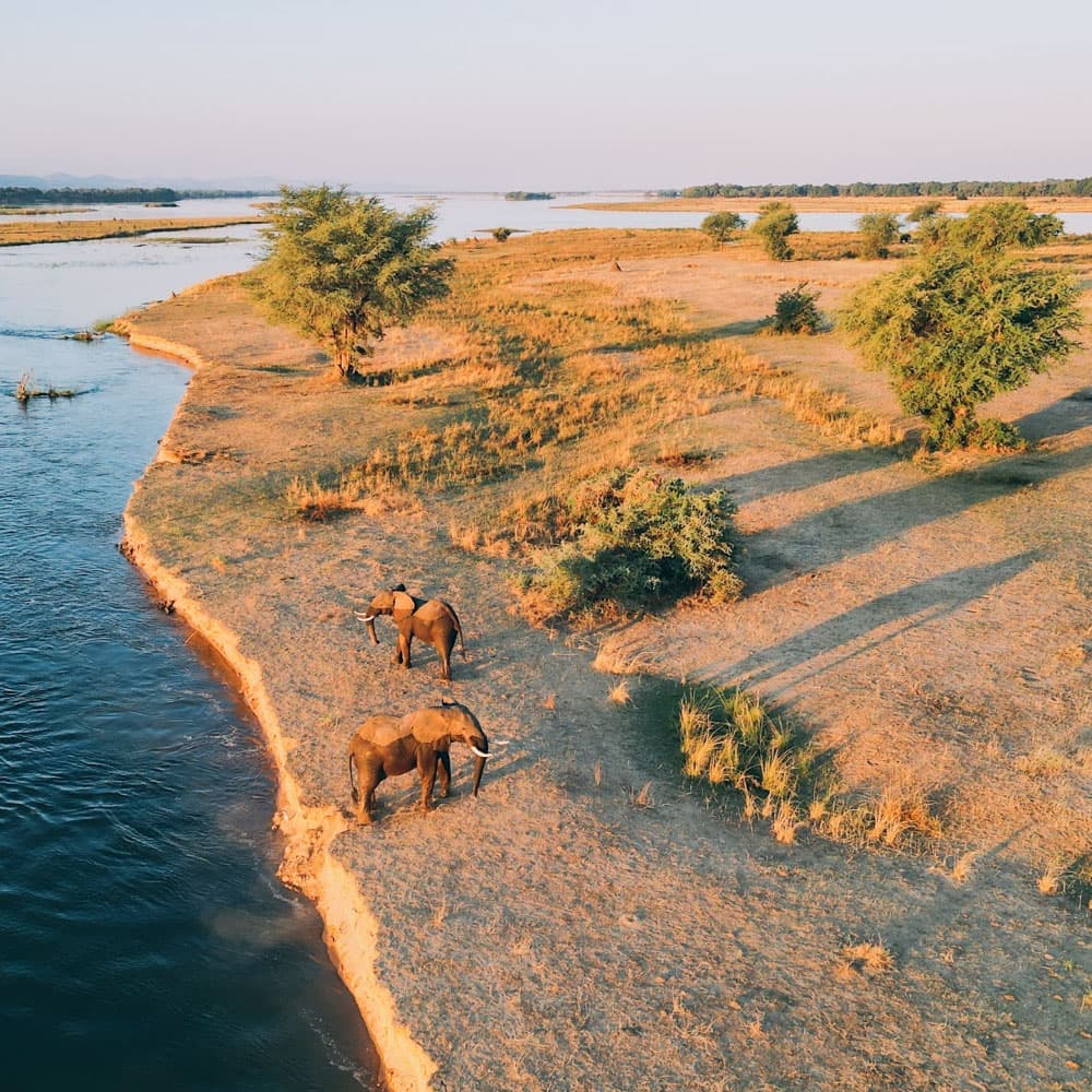 Zambezi Grande — 