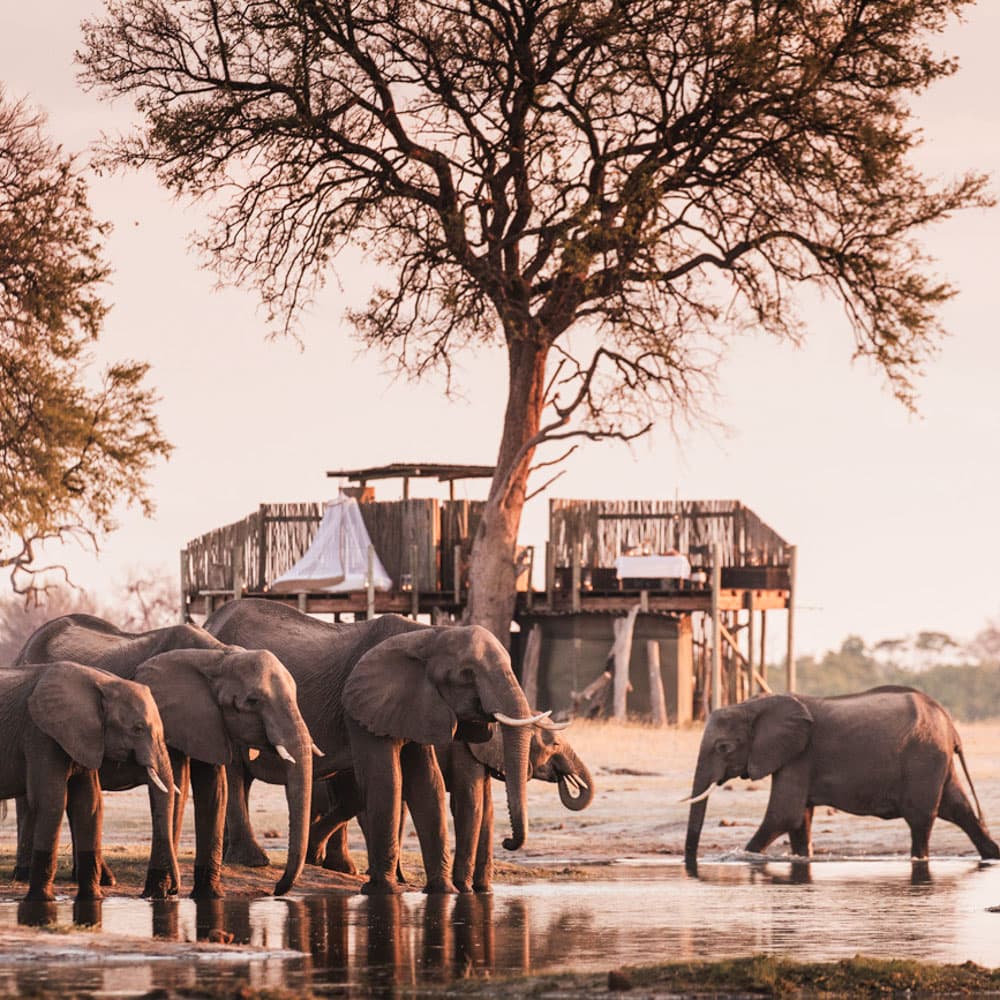 Wilderness Linkwasha Camp — Zimbabwe, Africa