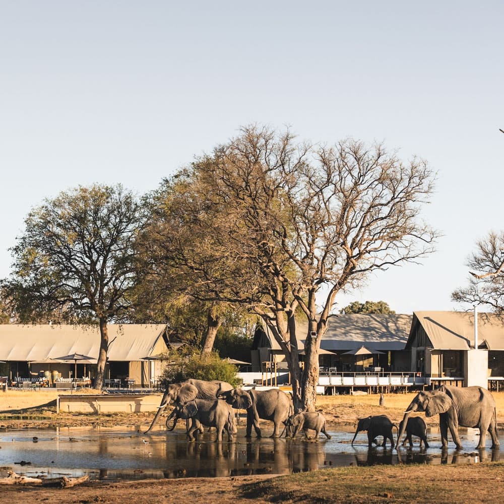 Wilderness Linkwasha Camp — 