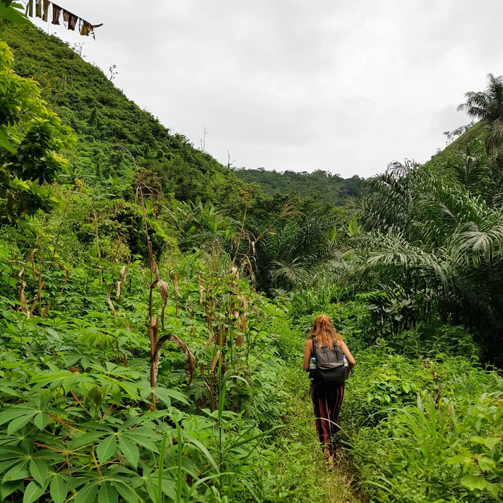 Atakora Mountains — 