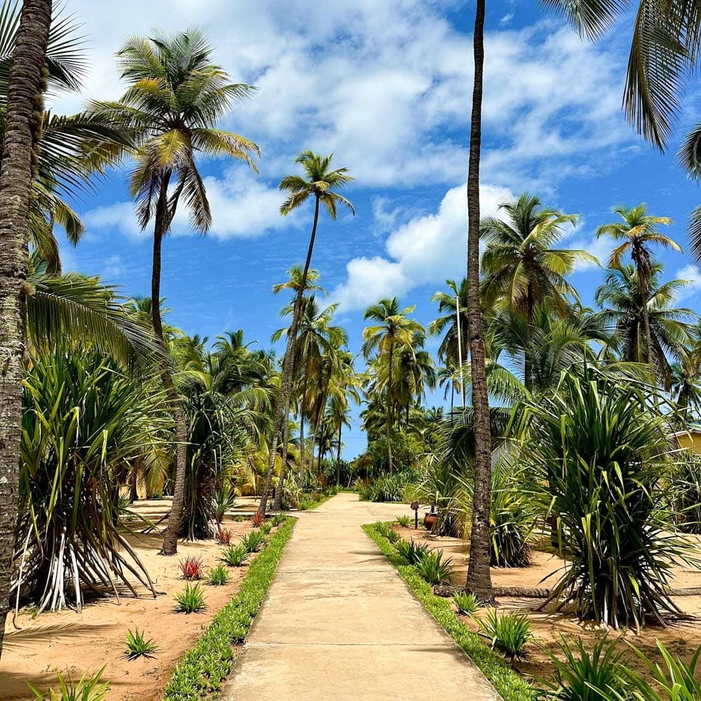 Casa del Papa Resort & Spa — 