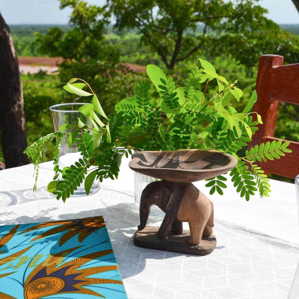 Pendjari Safari Lodge — 