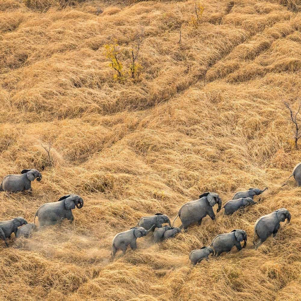 Pendjari Safari Lodge — 