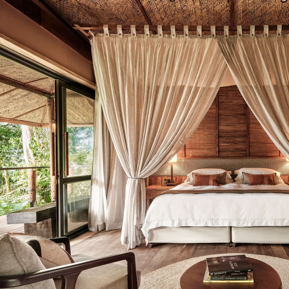 Gorilla Forest Lodge — 