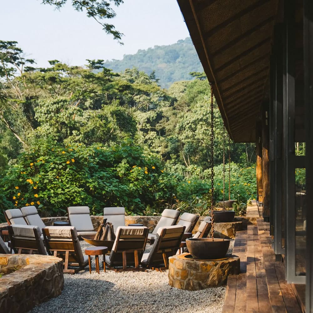Gorilla Forest Lodge — 