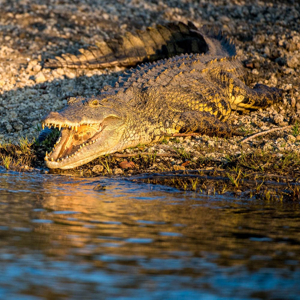 Kafue River — Zambia, Africa