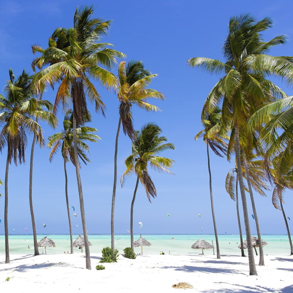 Paje Beach, Zanzibar — Tanzania, Africa
