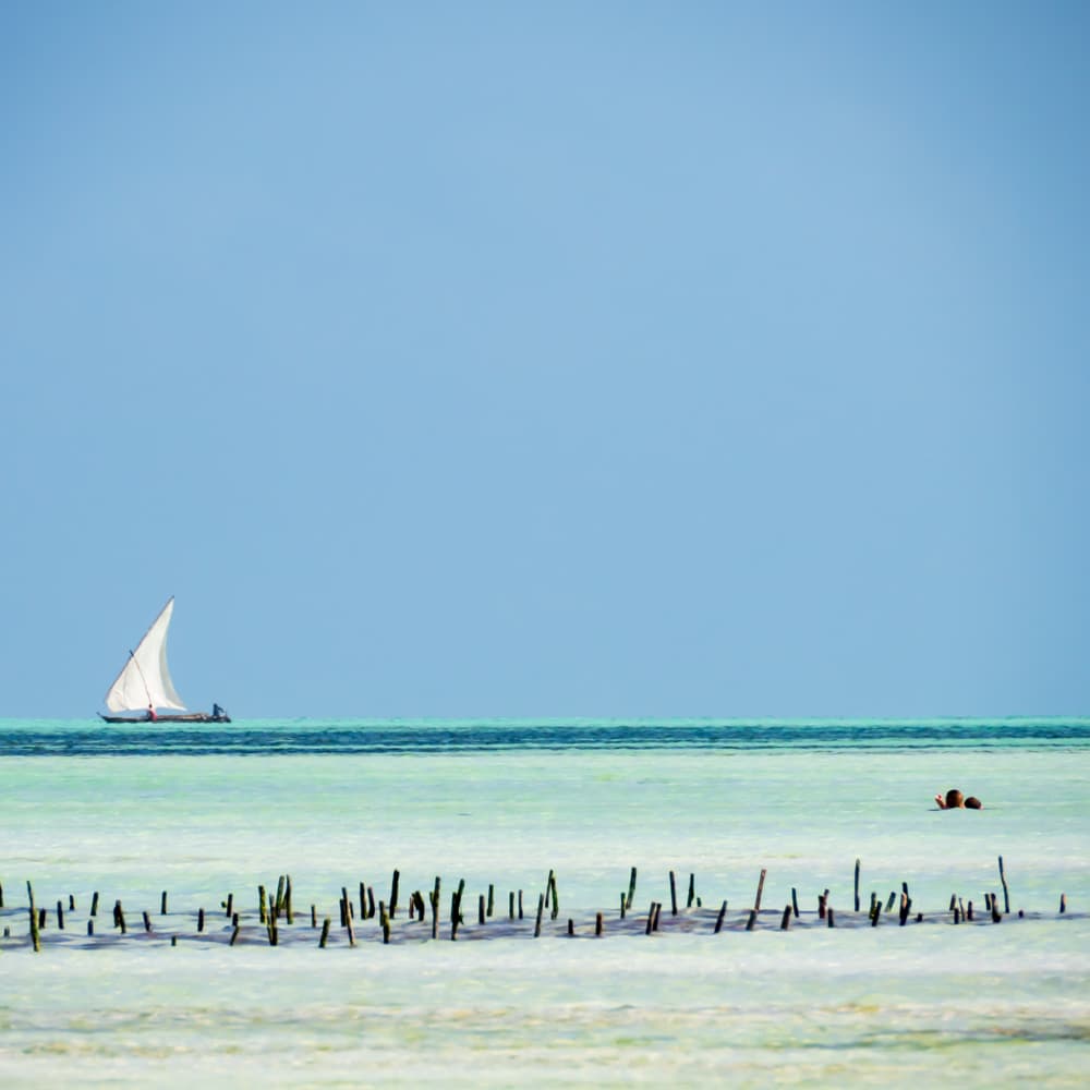 Paje Beach, Zanzibar — 