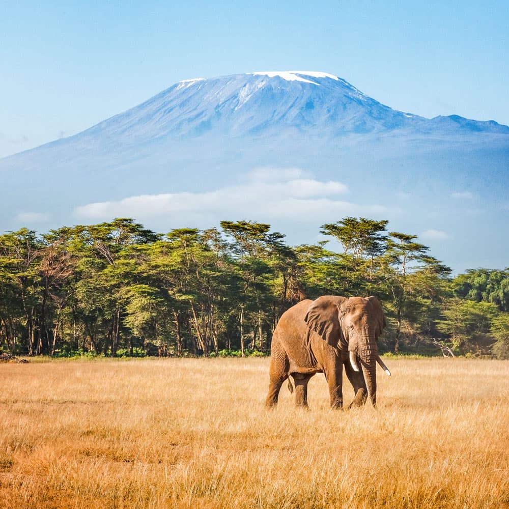 Mount Kilimanjaro — Tanzania, Africa