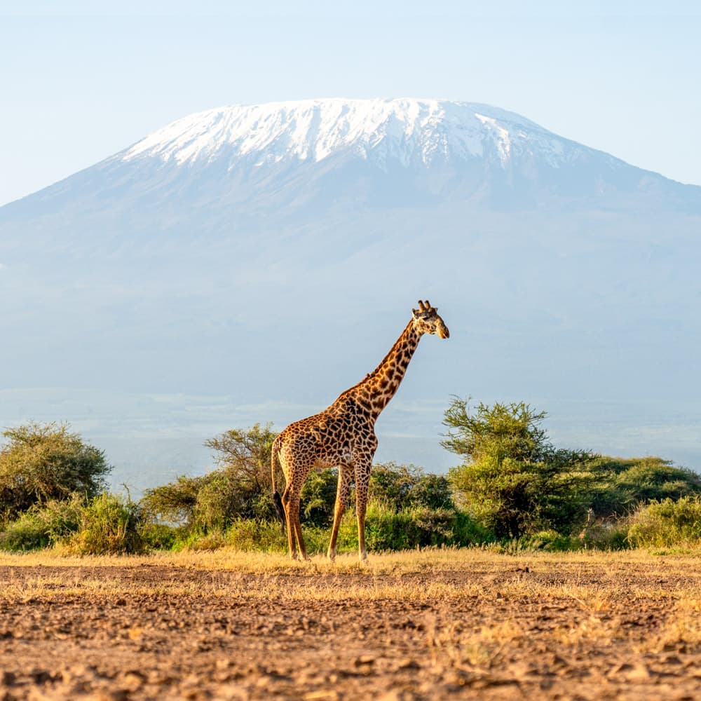 Mount Kilimanjaro — 