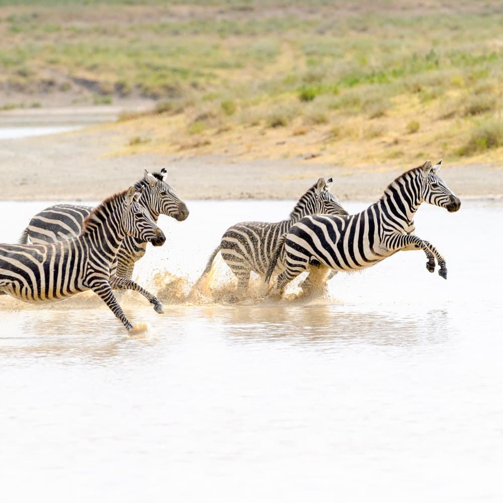 Ngorongoro Conservation Area — 