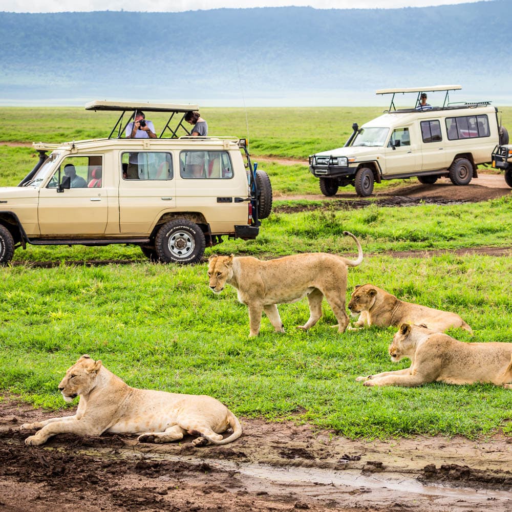 Ngorongoro Conservation Area — 