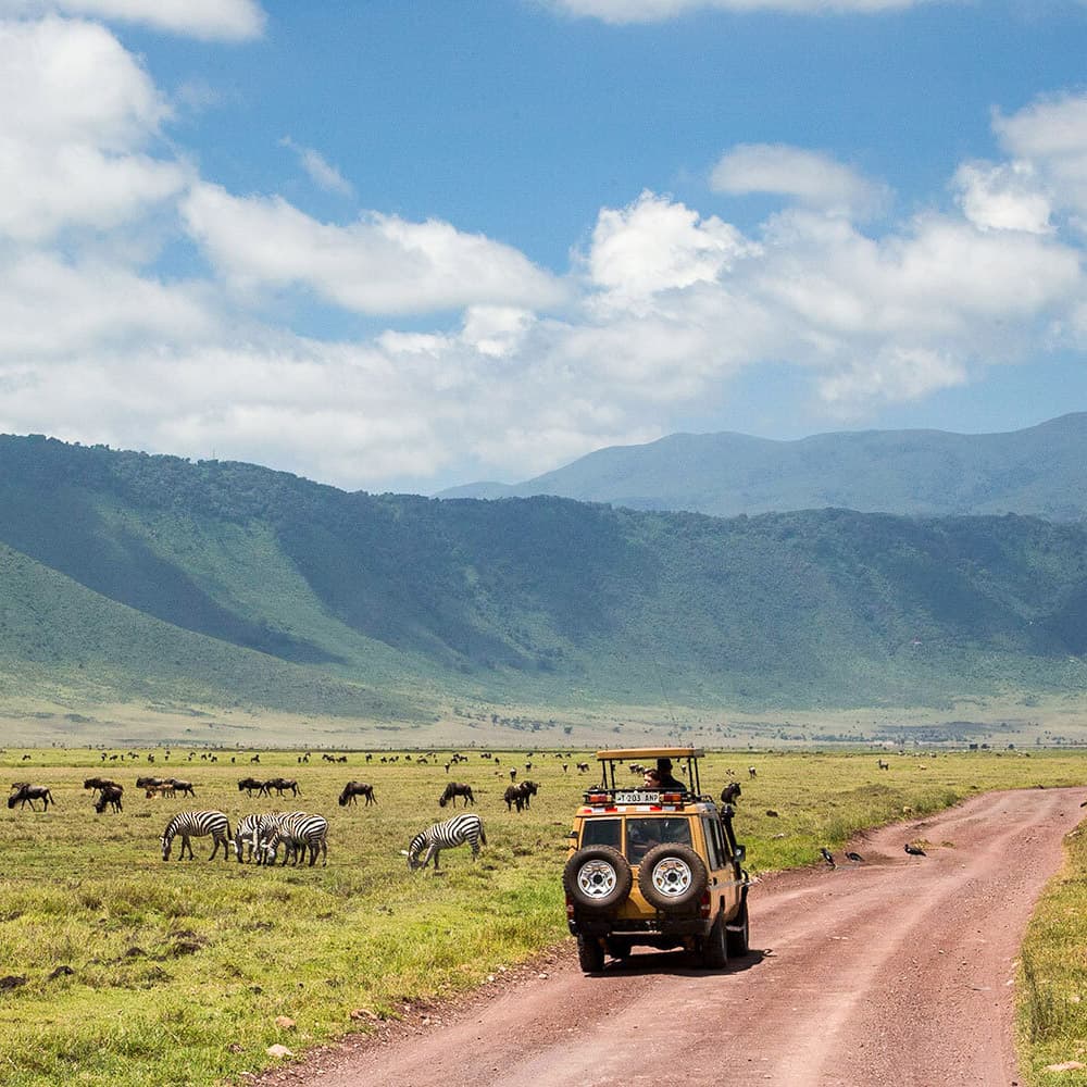 Ngorongoro Crater — 