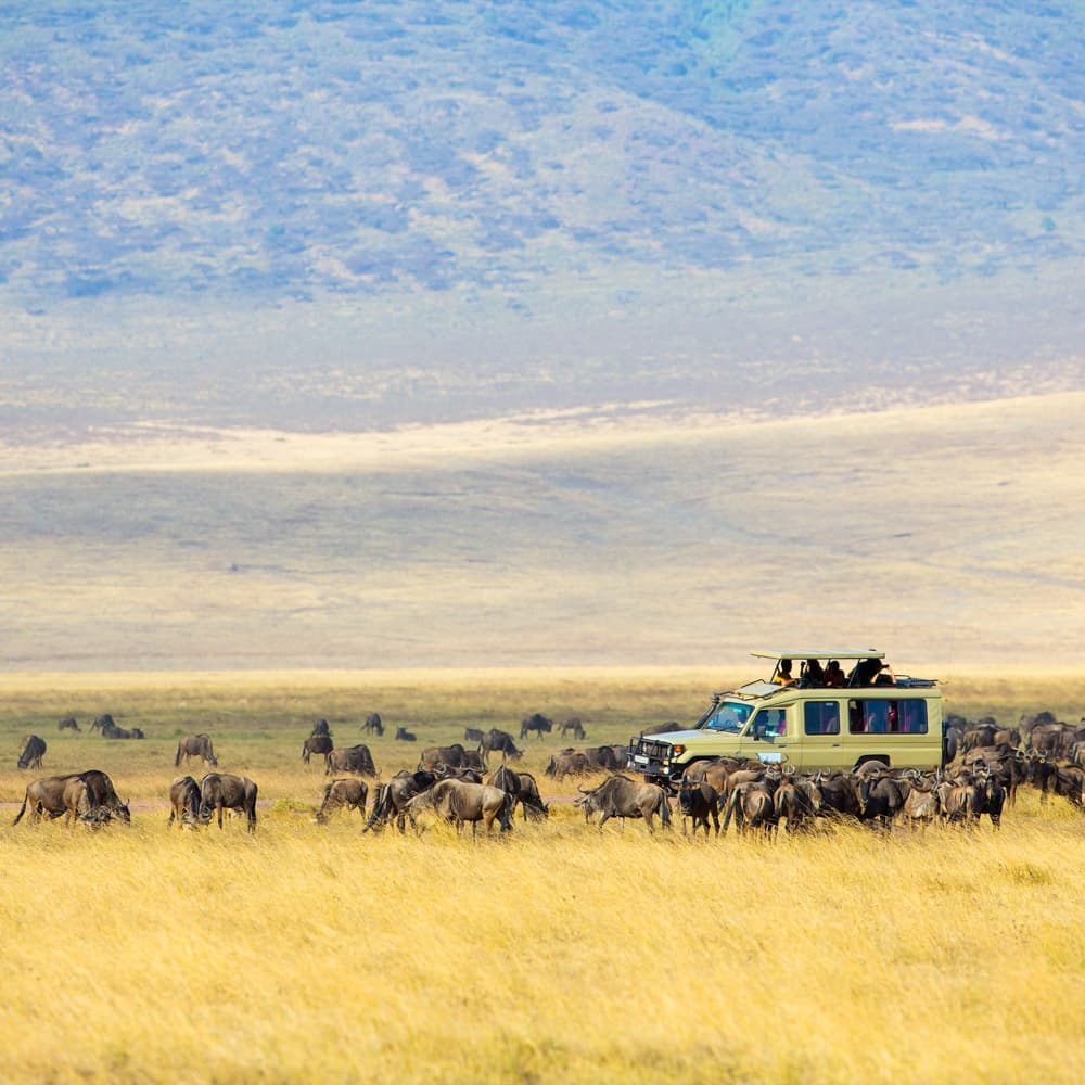 Ngorongoro Crater — 
