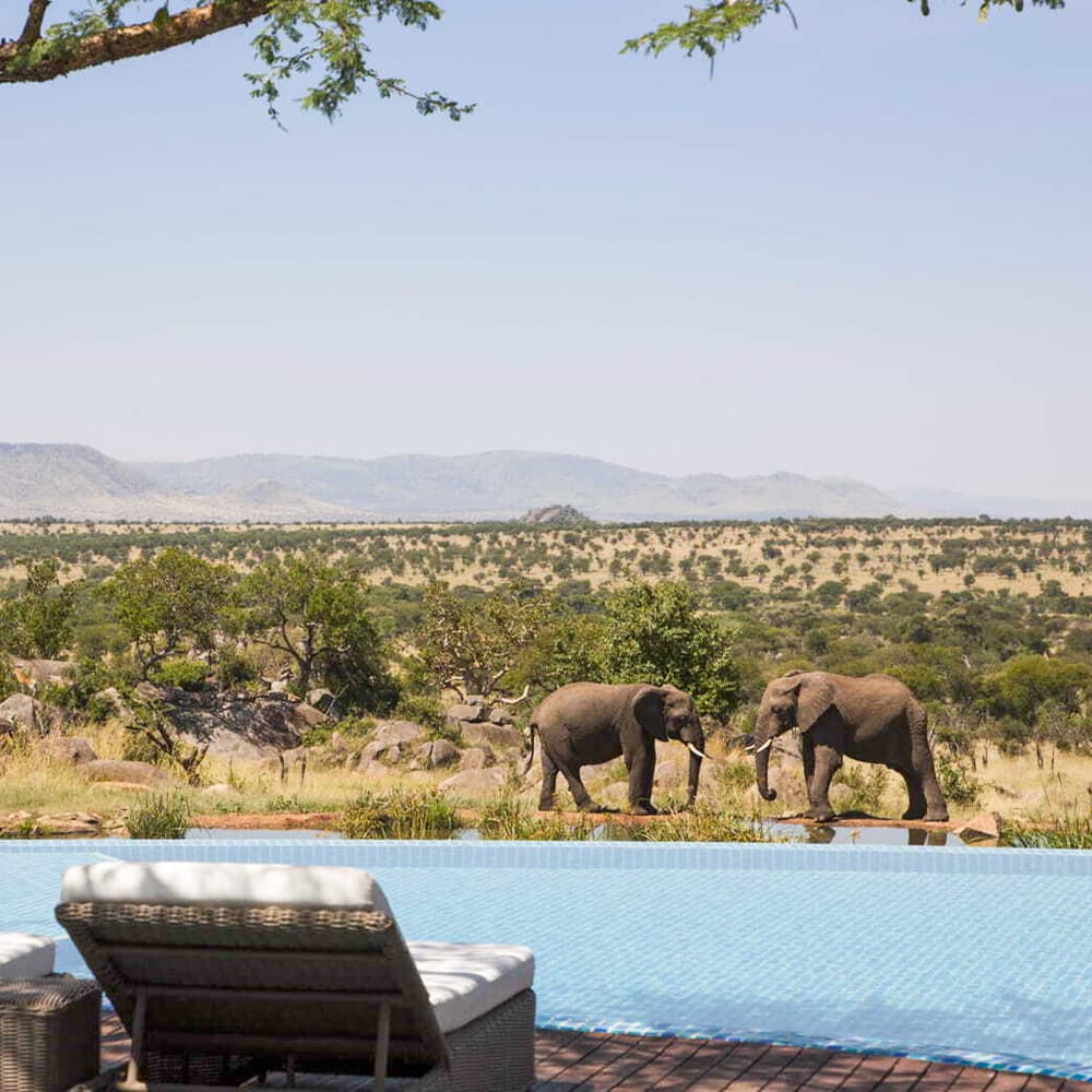 Four Seasons Safari Lodge Serengeti — 