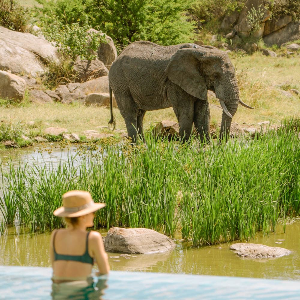 Four Seasons Safari Lodge Serengeti — 