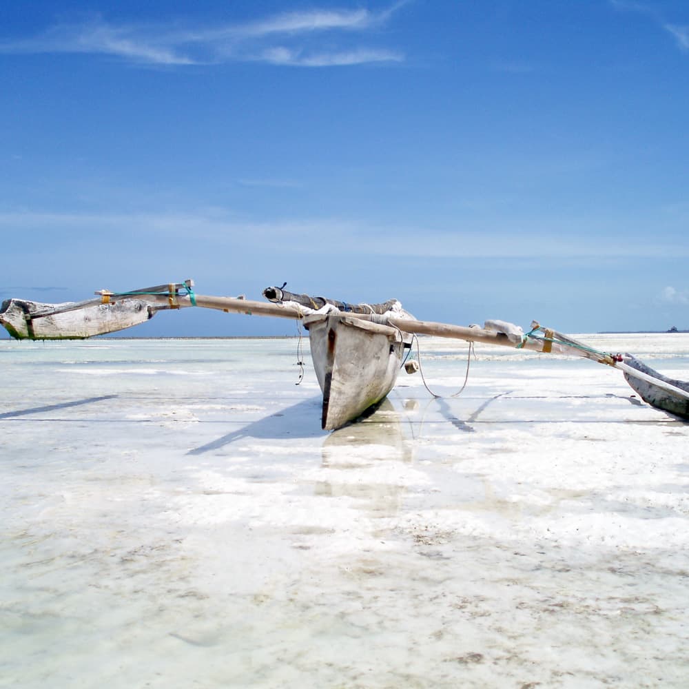 Pemba Island — Tanzania, Africa