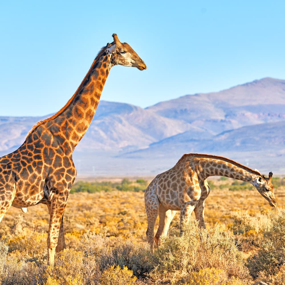 Serengeti National Park — 