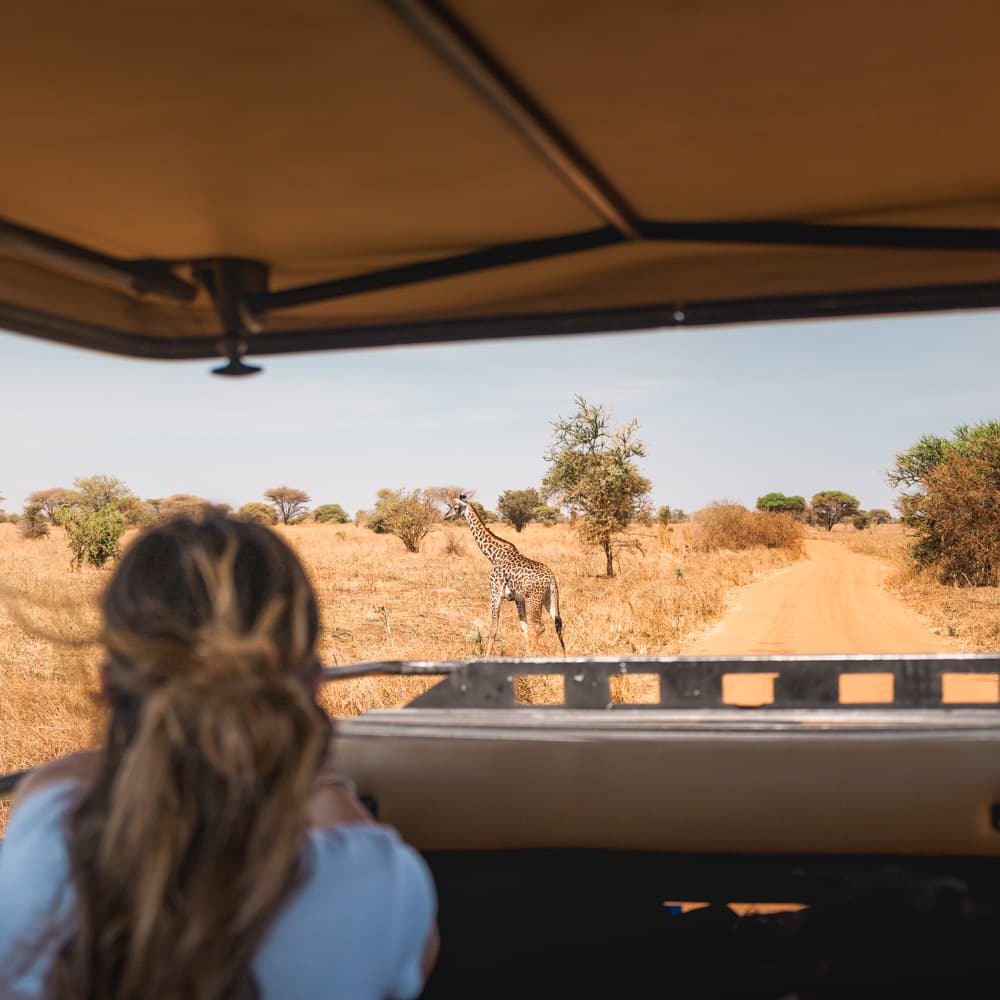 Tarangire National Park — 