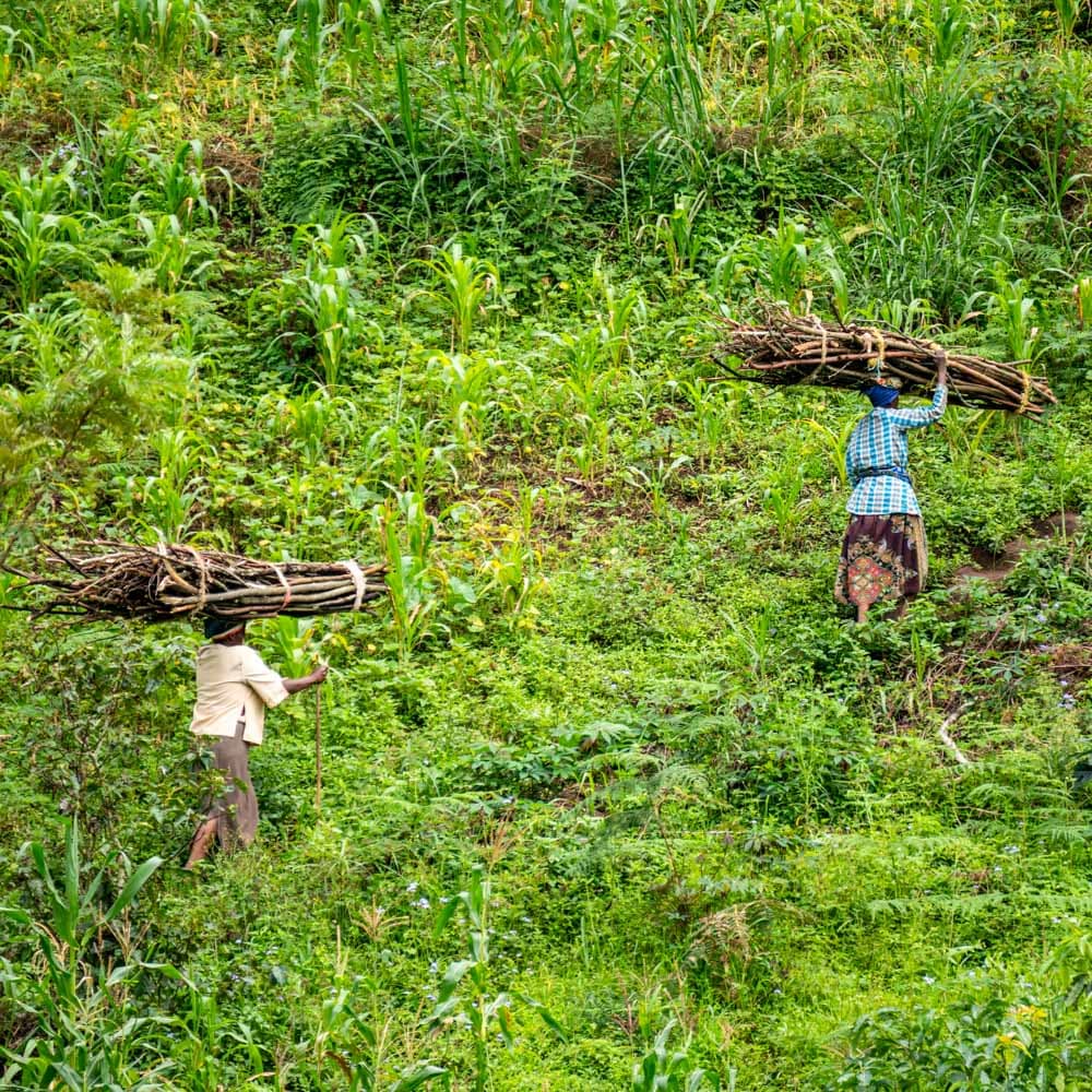 Usambara Mountains — Tanzania, Africa